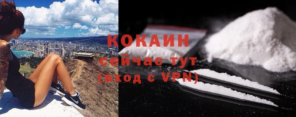 хмурый Мегион