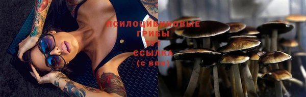 хмурый Мегион