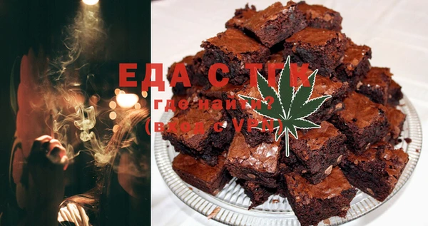 хмурый Мегион