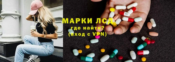 ГАЛЛЮЦИНОГЕННЫЕ ГРИБЫ Магас