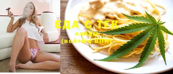 хмурый Мегион